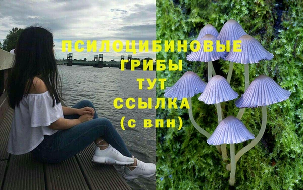 дистиллят марихуана Баксан